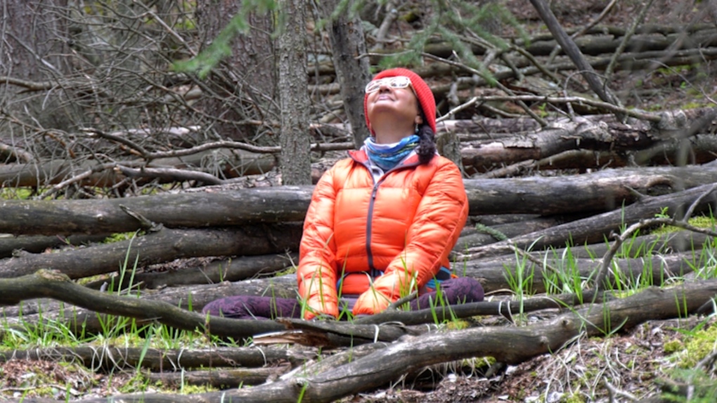 The popularity of forest bathing in Alberta